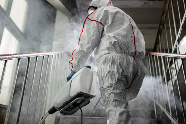 Why You Should Choose Our Mold Remediation Services in Stewart Manor, NY